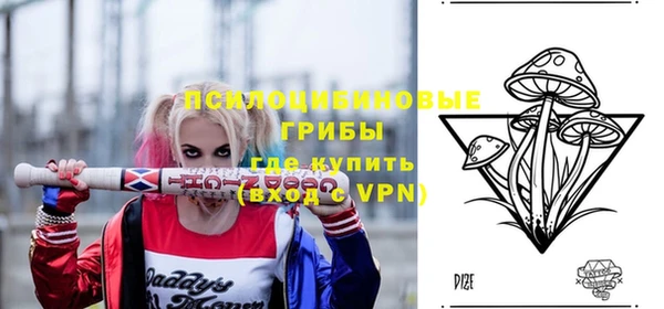 первитин Богданович